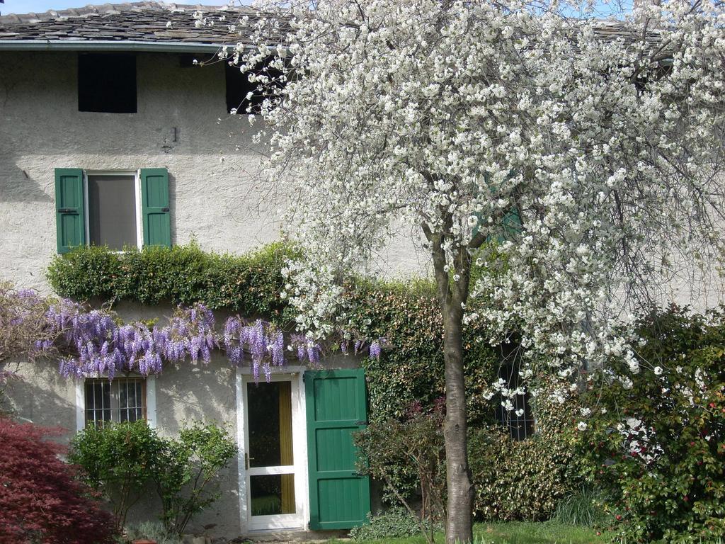 B&B L'Isola Piantedo Εξωτερικό φωτογραφία